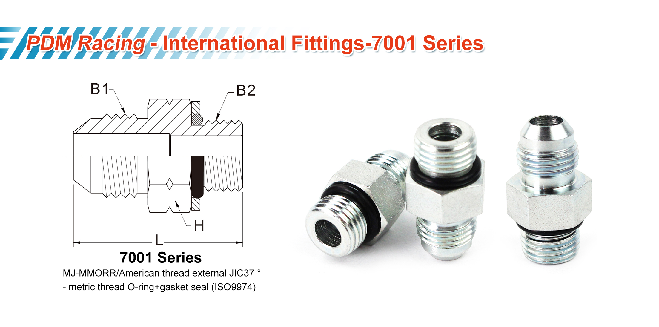 hydraulic fittings bspt