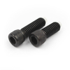 Nylon Tip Socket Cap Screw Inch