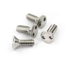Security Flat Head Screw