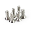 Security Flat Head Screw