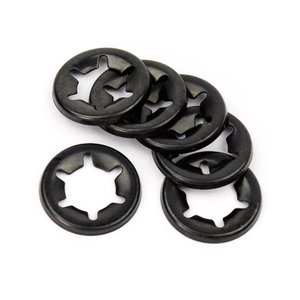 Star Lock Washer