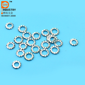 Internal External Serrated Lock Washer